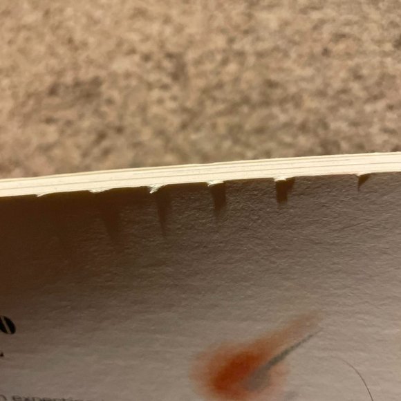 Vintage 80s Revlon The Art of Beauty Book - Picture 8 of 8